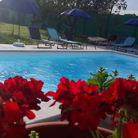 Holiday Home Dioniza Vodnjan Bagian luar foto