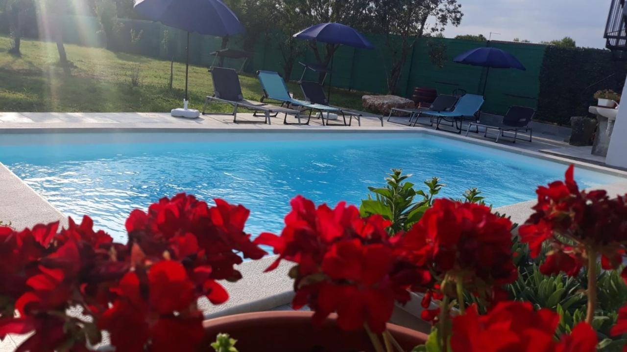 Holiday Home Dioniza Vodnjan Bagian luar foto