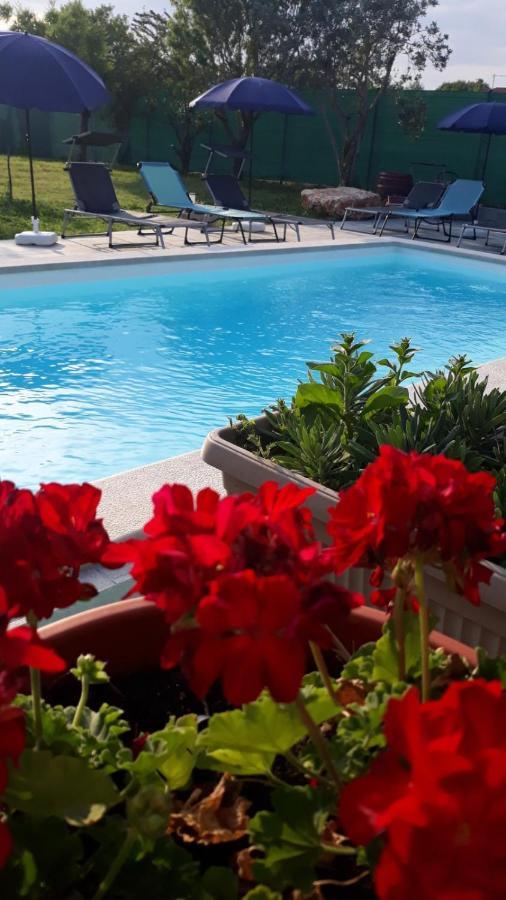 Holiday Home Dioniza Vodnjan Bagian luar foto