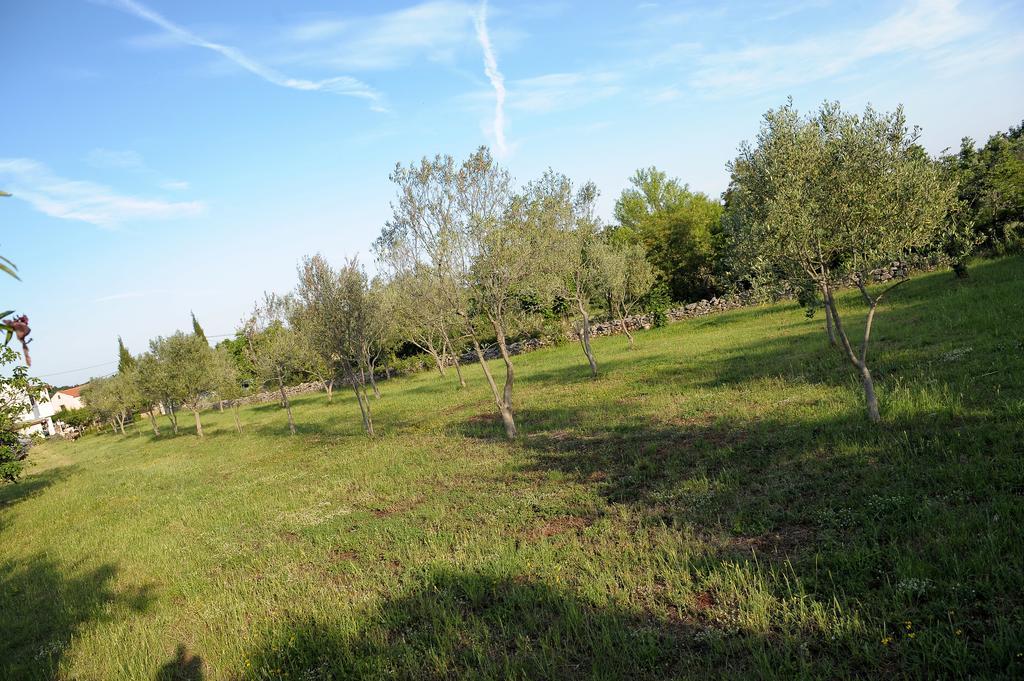 Holiday Home Dioniza Vodnjan Ruang foto